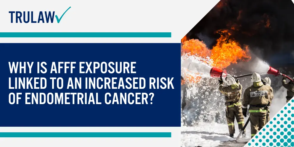 Why Is AFFF Exposure Linked to an Increased Risk of Endometrial Cancer