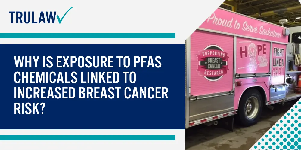 Why Is Exposure to PFAS Chemicals Linked to Increased Breast Cancer Risk