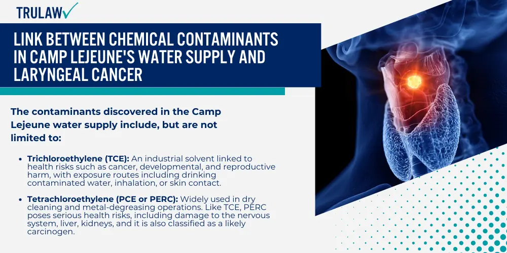 Link Between Chemical Contaminants in Camp Lejeune's Water Supply and Laryngeal Cancer