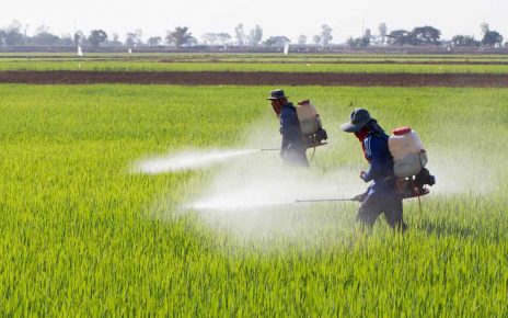 Paraquat-Lawsuit-Farmers-Spraying-Pesticide