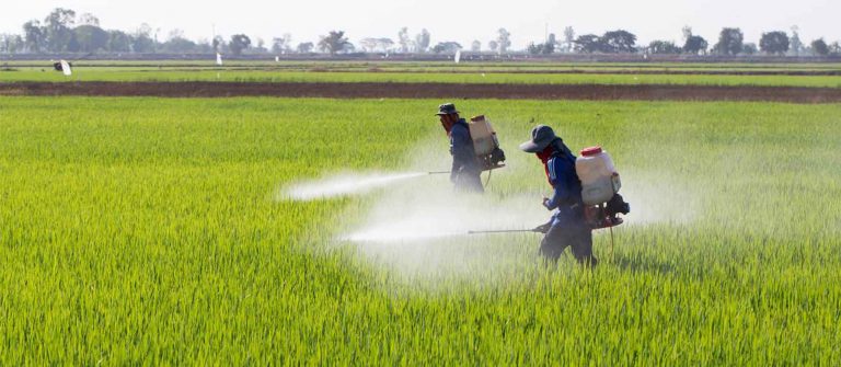 Paraquat-Lawsuit-Farmers-Spraying-Pesticide