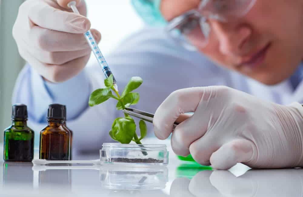 scientist herbicide