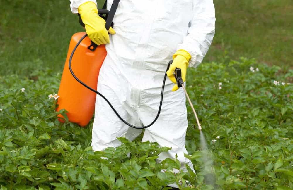 spraying in protective gear