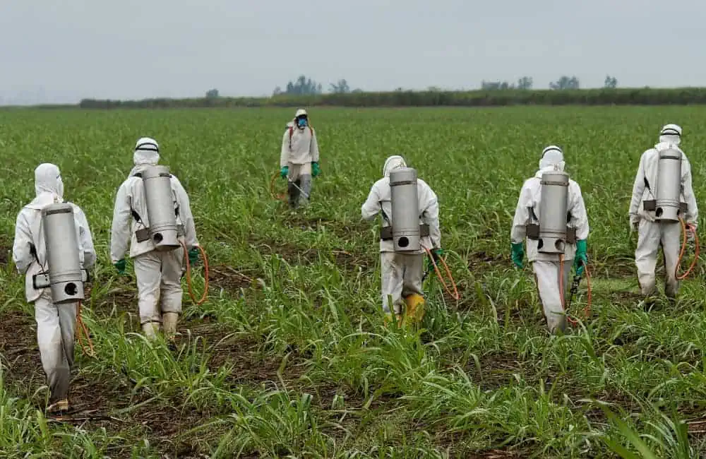 team spraying herbicide