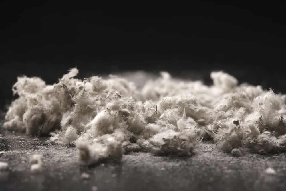asbestos in talc powder