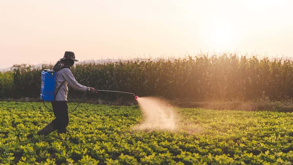 farmer spraying roundup pesticide