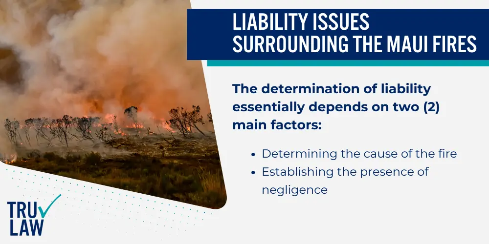 Liability Issues Surrounding the Maui Fires