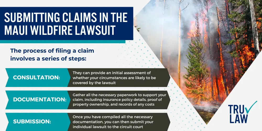 Submitting Claims in the Maui Wildfire Lawsuit