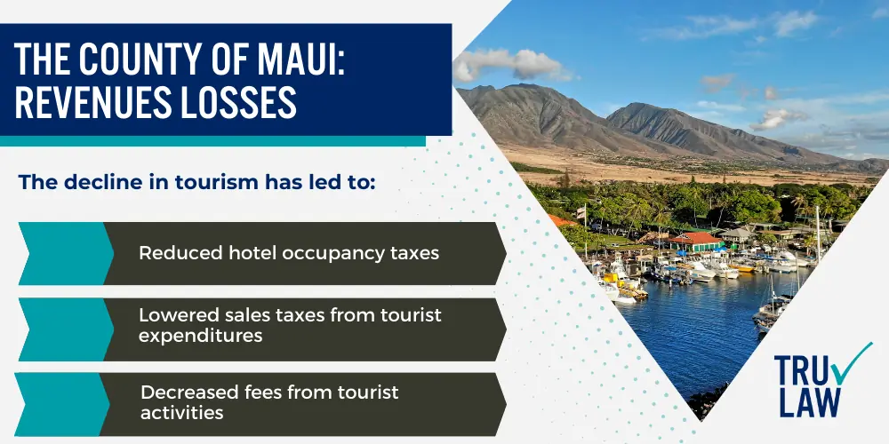 The County of Maui Revenues Losses