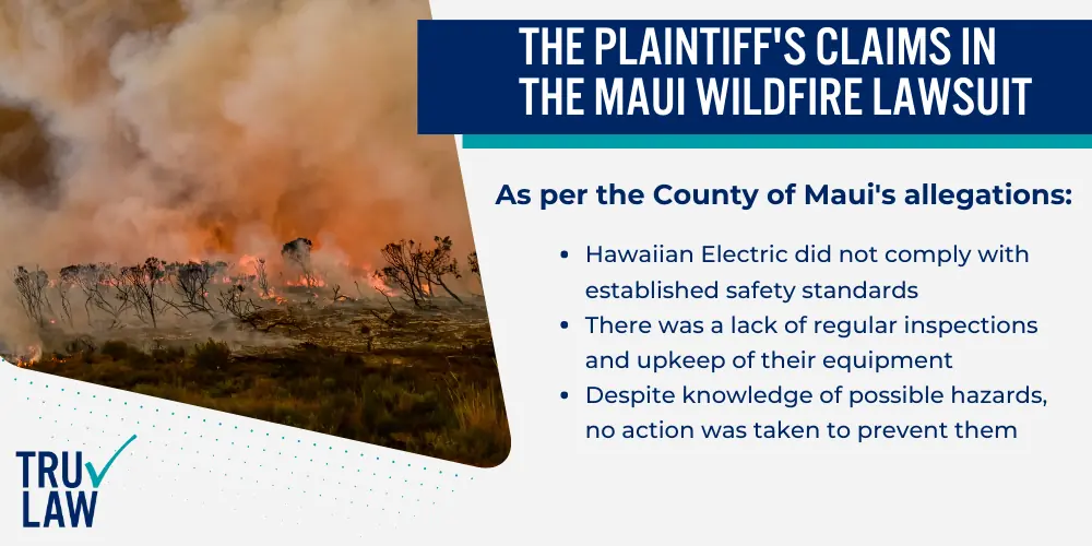 The Plaintiff's Claims in the Maui Wildfire Lawsuit
