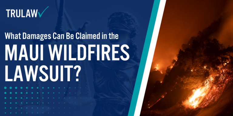 What Damages Can Be Claimed in the Maui Wildfires Lawsuit