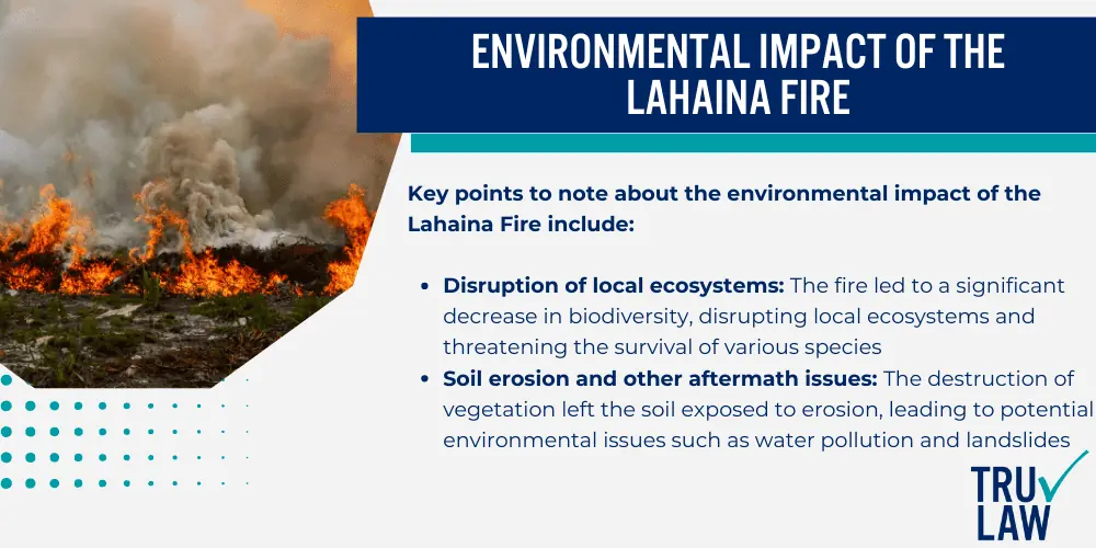 Environmental Impact of the Lahaina Fire