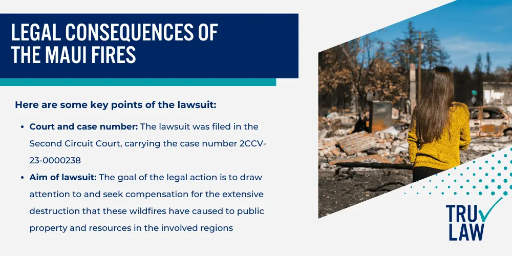Legal Consequences of the Maui Fires