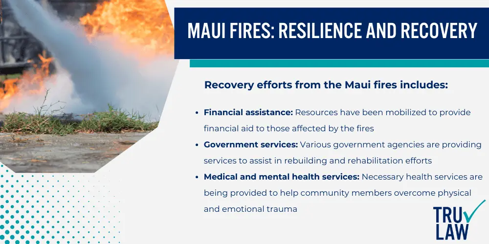 Maui Fires Resilience and Recovery