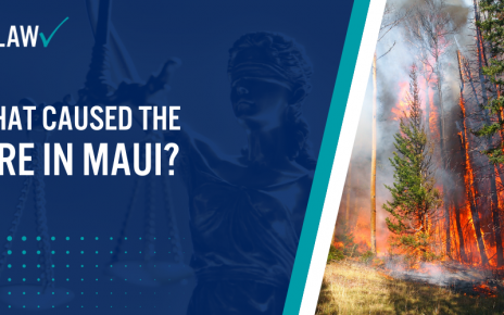 What Caused The Fire in Maui