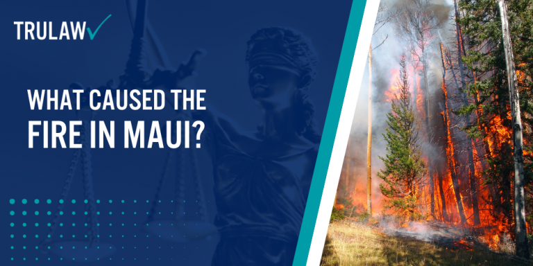 What Caused The Fire in Maui