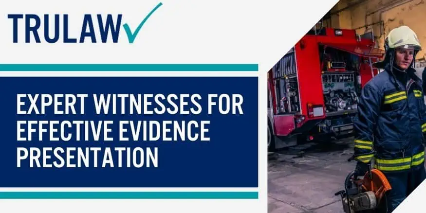 Expert witnesses For Effective Evidence Presentation