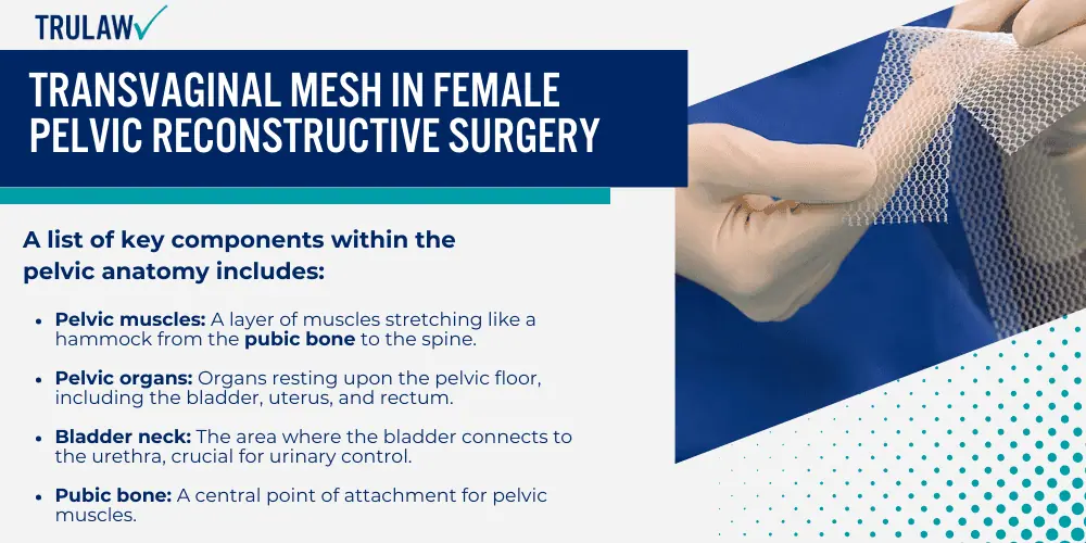 Transvaginal Mesh in Female Pelvic Reconstructive Surgery