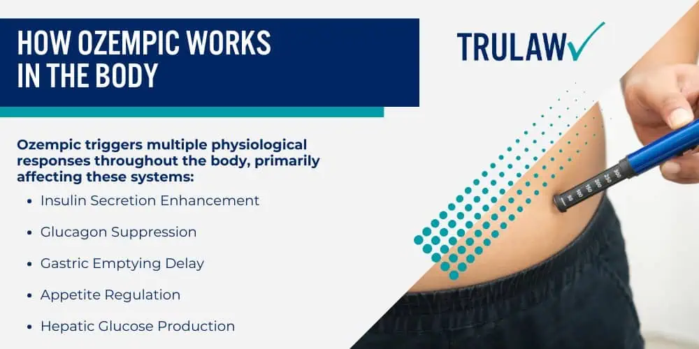 How Ozempic Works in the Body