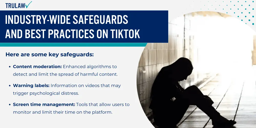 Industry-Wide Safeguards and Best Practices on TikTok