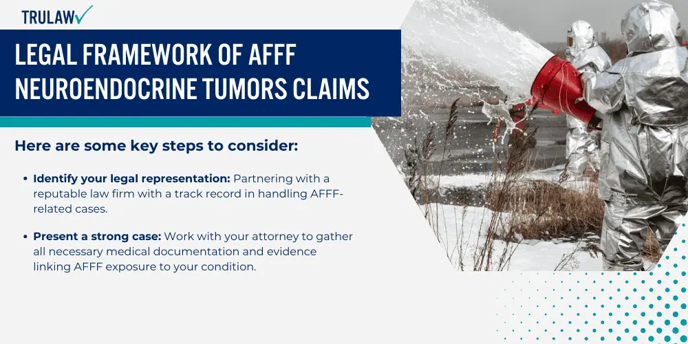 Legal Framework of AFFF Neuroendocrine Tumors Claims