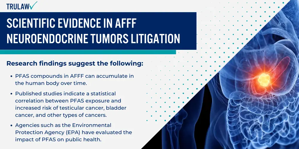 Scientific Evidence in AFFF Neuroendocrine Tumors Litigation