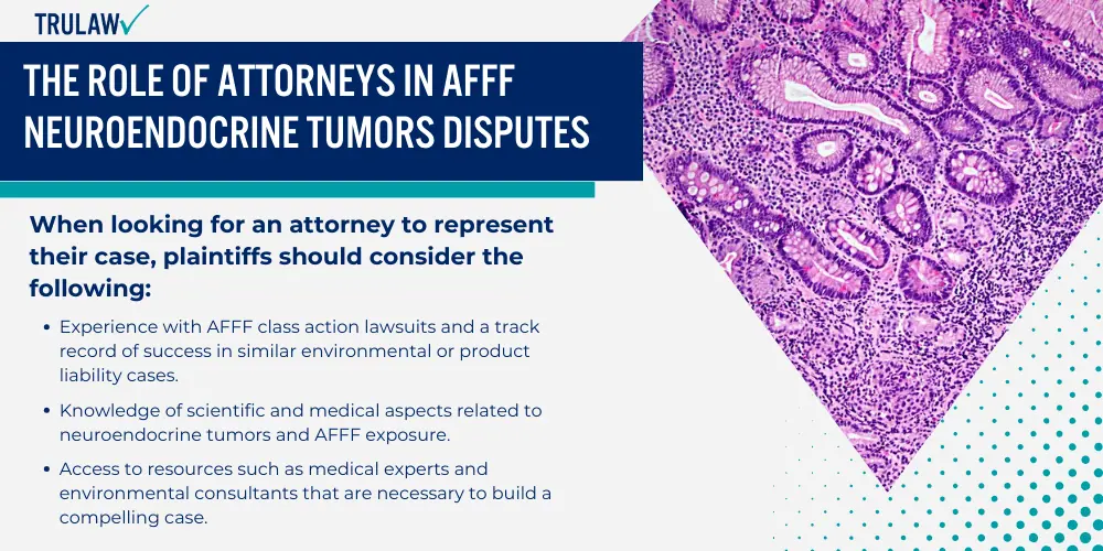 The Role of Attorneys in AFFF Neuroendocrine Tumors Disputes