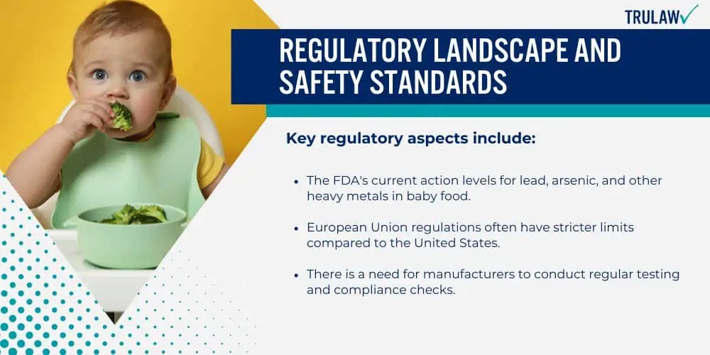 Regulatory Landscape and Safety Standards