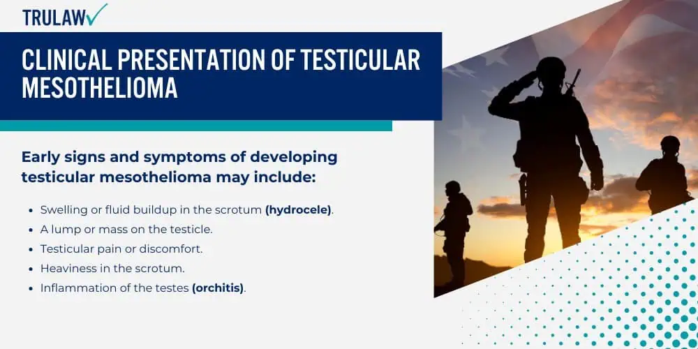 Clinical Presentation of Testicular Mesothelioma