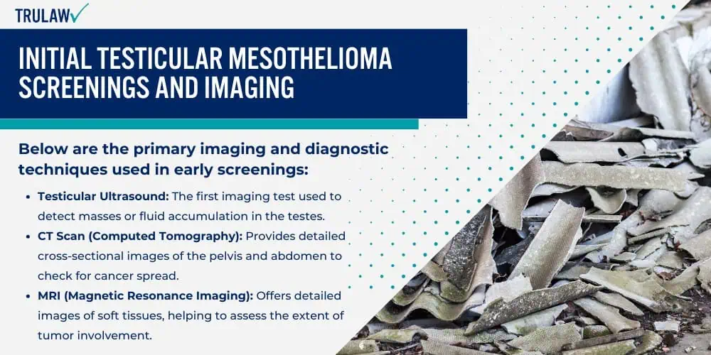 Initial Testicular Mesothelioma Screenings and Imaging