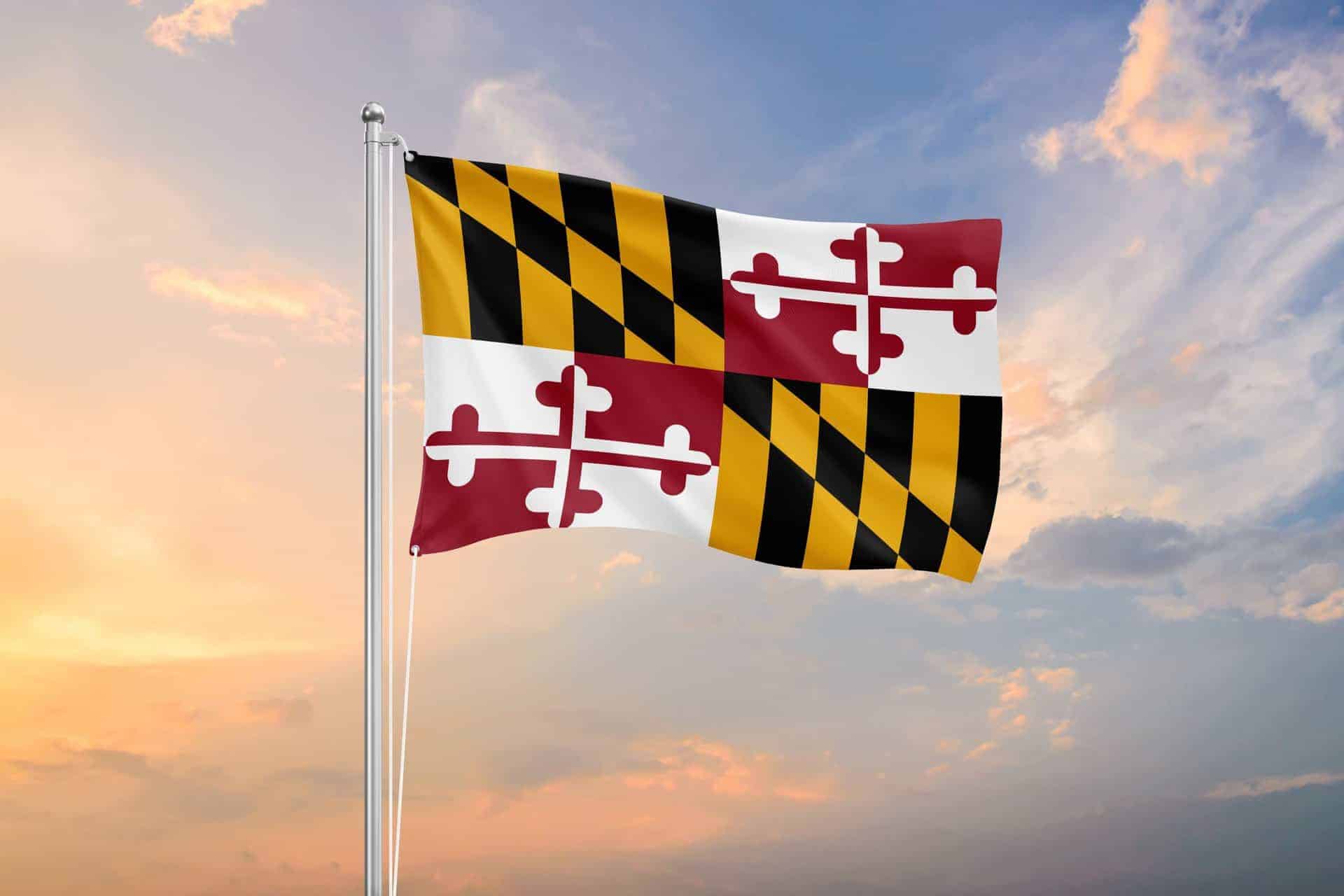 Maryland-Department-of-Human-Services-Lawsuit-Maryland-DHS-Foster-Children-Display-Image-scaled-1