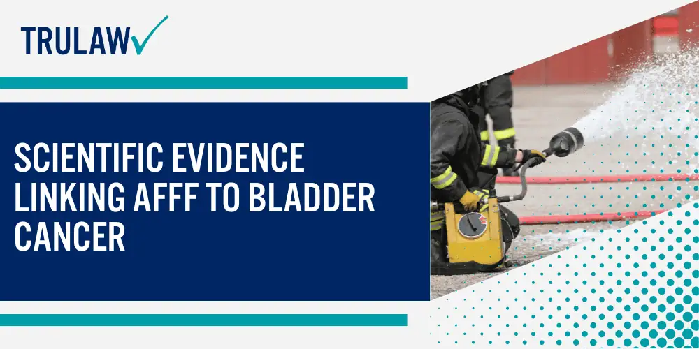 AFFF and Its Connection to Bladder Cancer; What Makes AFFF Dangerous to Human Health; Who Faces the Highest Risk of AFFF Exposure; The Bladder Cancer Connection Explained; Scientific Evidence Linking AFFF to Bladder Cancer