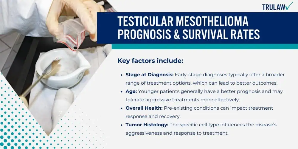 Testicular Mesothelioma Prognosis & Survival Rates