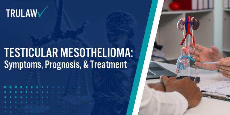 Testicular Mesothelioma; Testicular Mesothelioma Symptoms, Prognosis, & Treatment