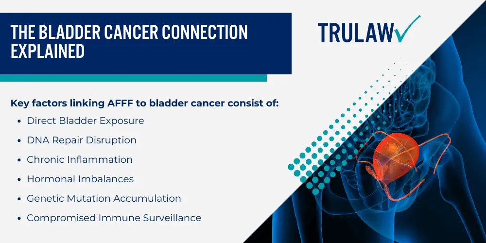 AFFF and Its Connection to Bladder Cancer; What Makes AFFF Dangerous to Human Health; Who Faces the Highest Risk of AFFF Exposure; The Bladder Cancer Connection Explained