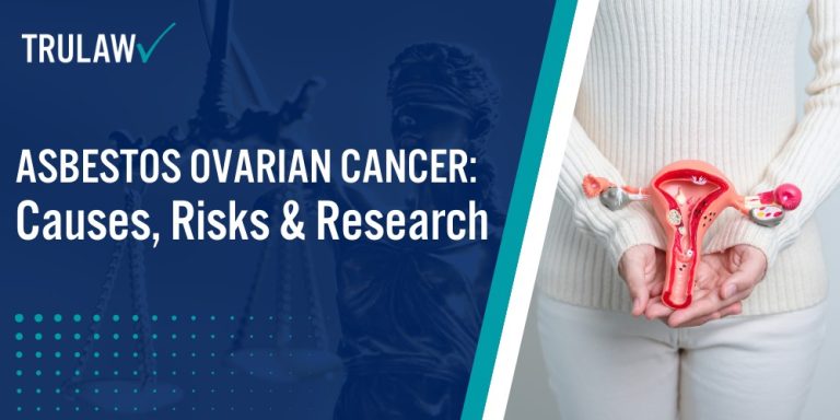 Asbestos Ovarian Cancer Causes Risks and Research