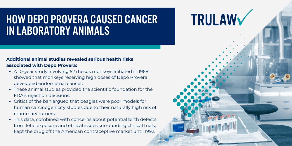 How Can A Depo Provera Attorney from TruLaw Help You; The FDA Decision_ Why Was Depo Provera Banned; How Depo Provera Caused Cancer in Laboratory Animals