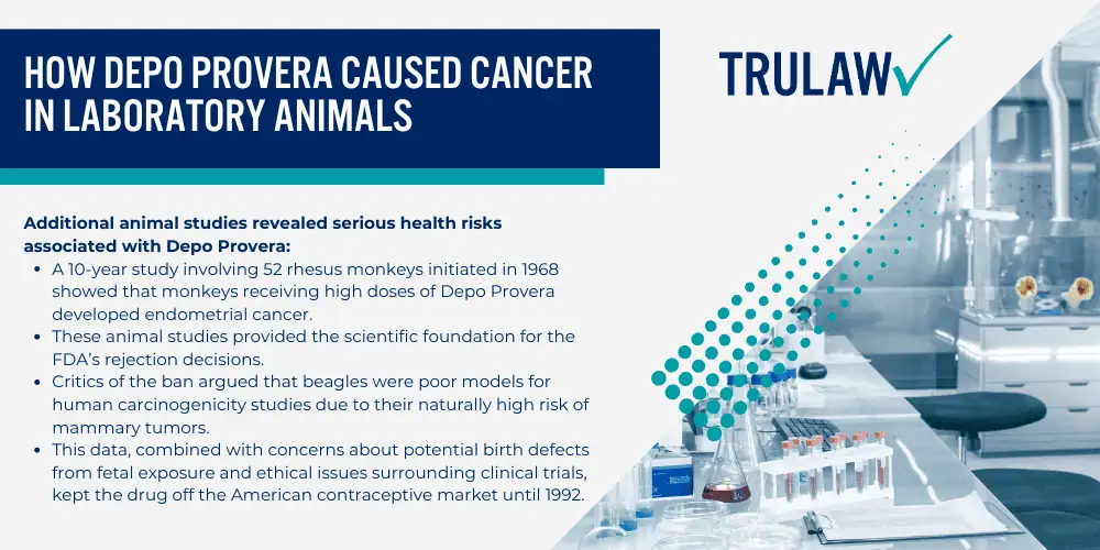 How Can A Depo Provera Attorney from TruLaw Help You; The FDA Decision_ Why Was Depo Provera Banned; How Depo Provera Caused Cancer in Laboratory Animals