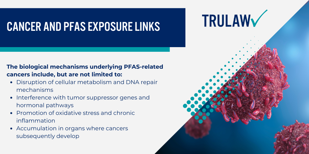 Investigating PFAS Contamination at Randolph Air Force Base; History of AFFF Use at Randolph AFB; Contamination Levels and Affected Areas; Health Effects of PFAS Exposure from Randolph AFB; Cancer and PFAS Exposure Links